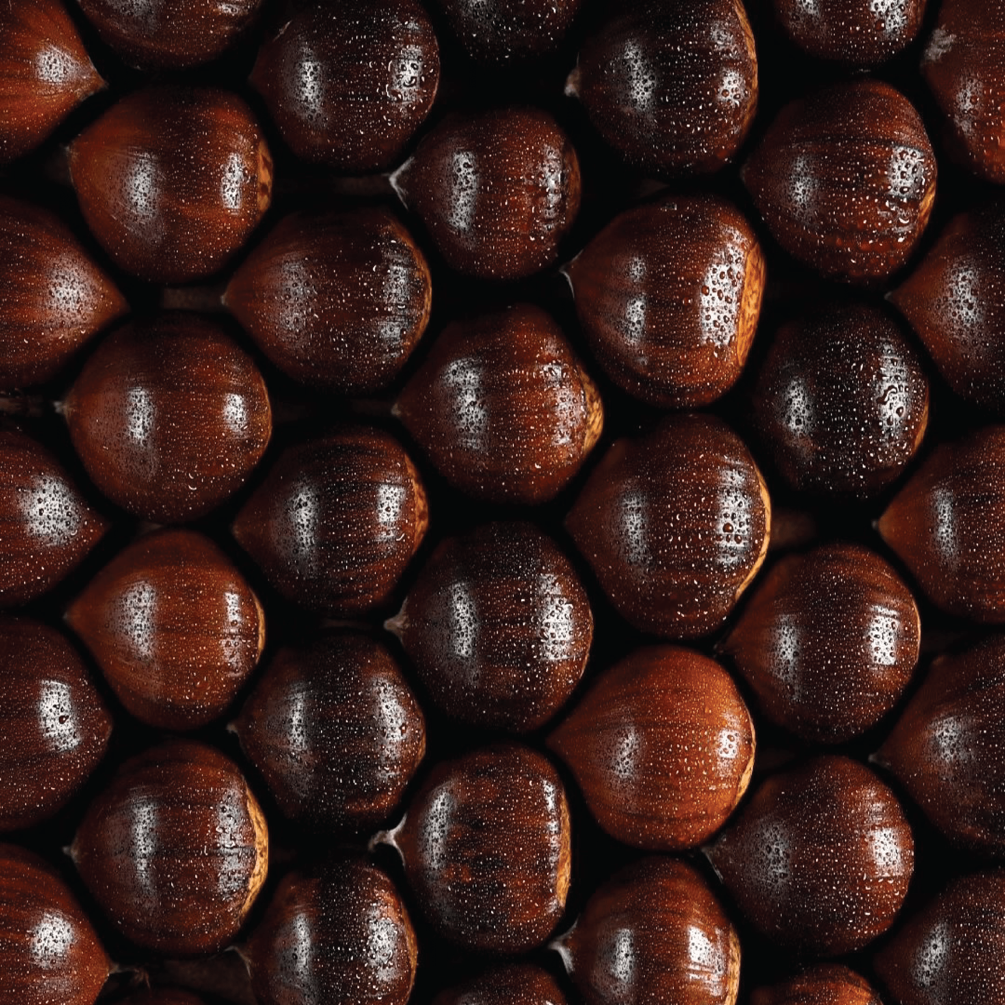 A Seasonal Keepsake from SWE ME